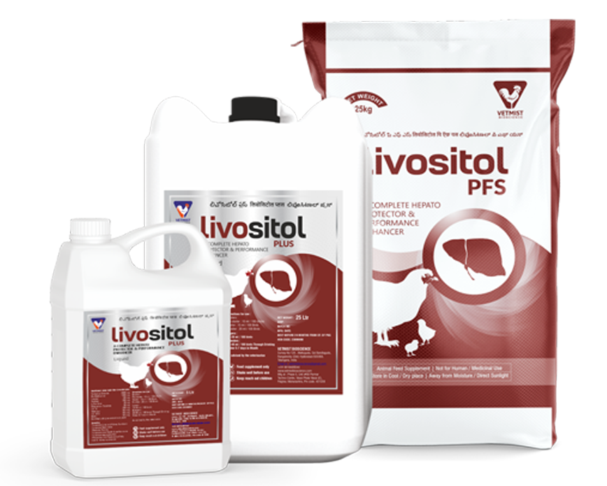 LIVOSITOL PLUS LIQUID